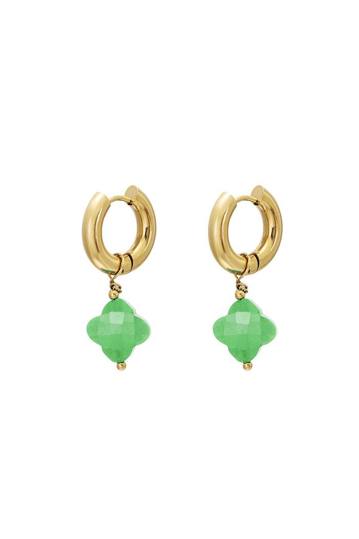 Klaver oorbellen - #summergirls collection Green & Gold Stainless Steel 