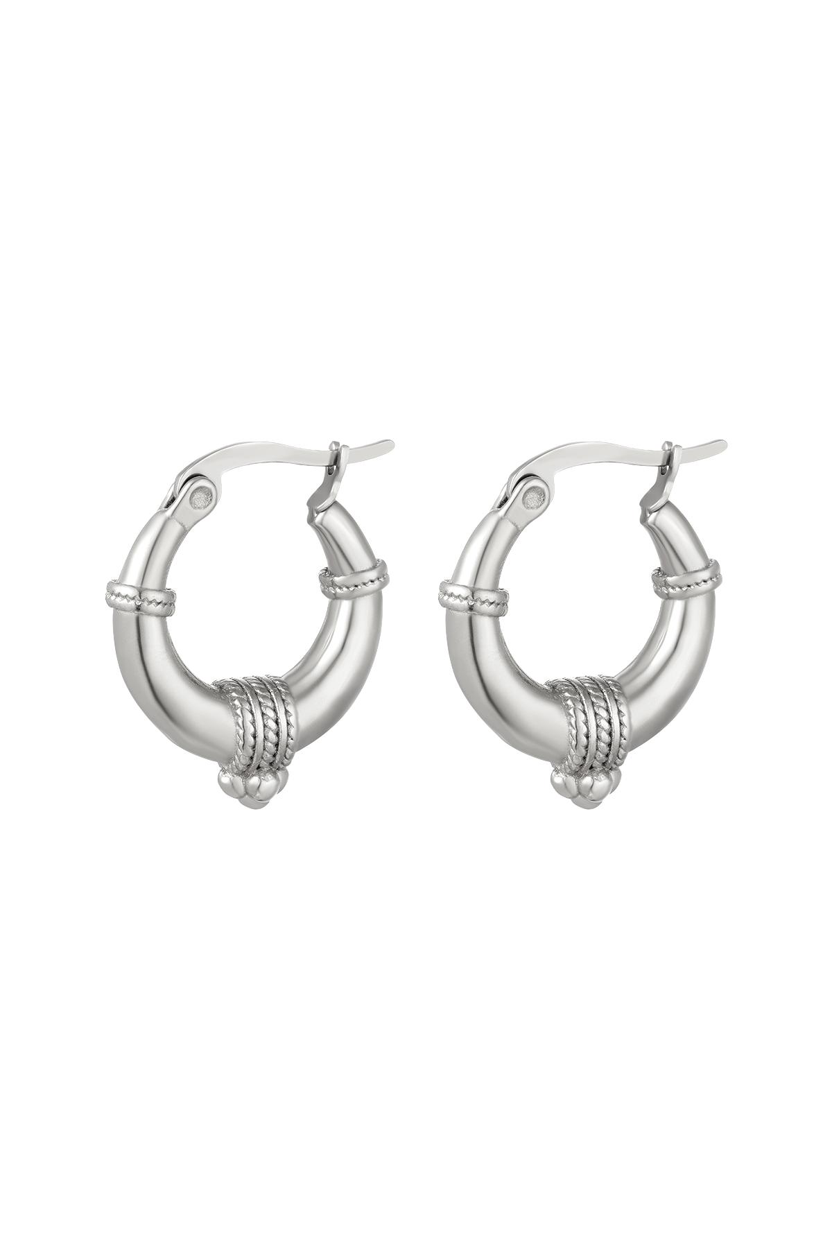 Stainless steel earrings with rope detail - small Silver h5 