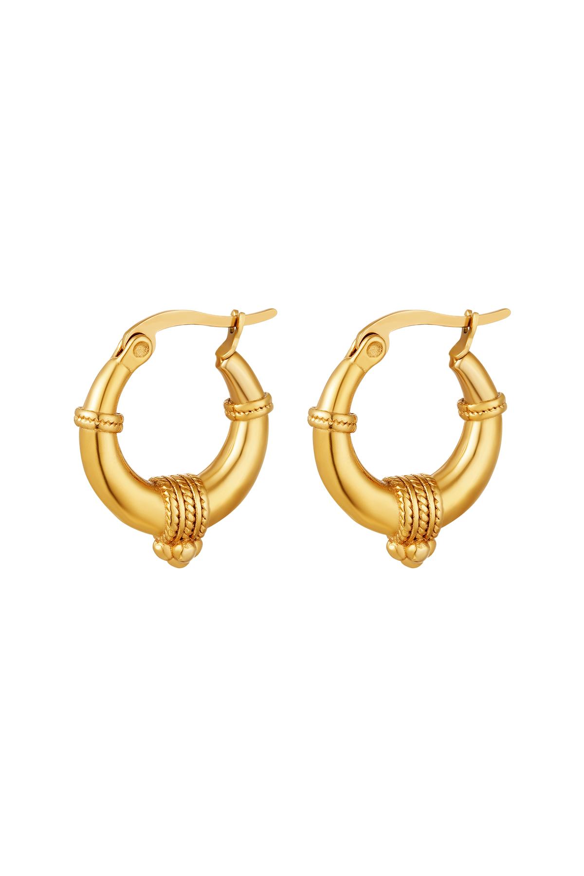 Stainless steel earrings with rope detail - small Gold 