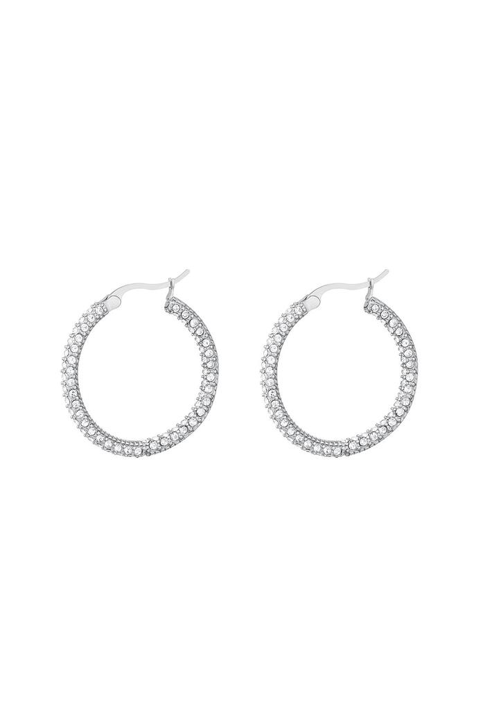 Round zircon earrings - small Silver Stainless Steel 