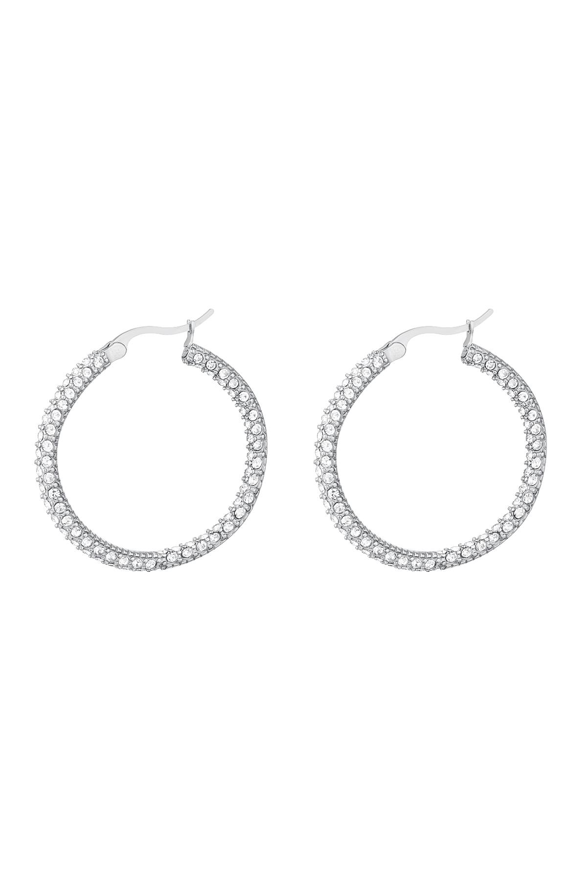 Round zircon earrings - large Silver Stainless Steel h5 