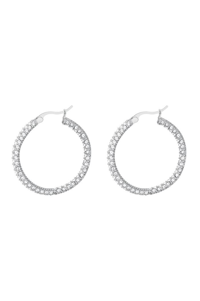 Round zircon earrings - large Silver Stainless Steel 