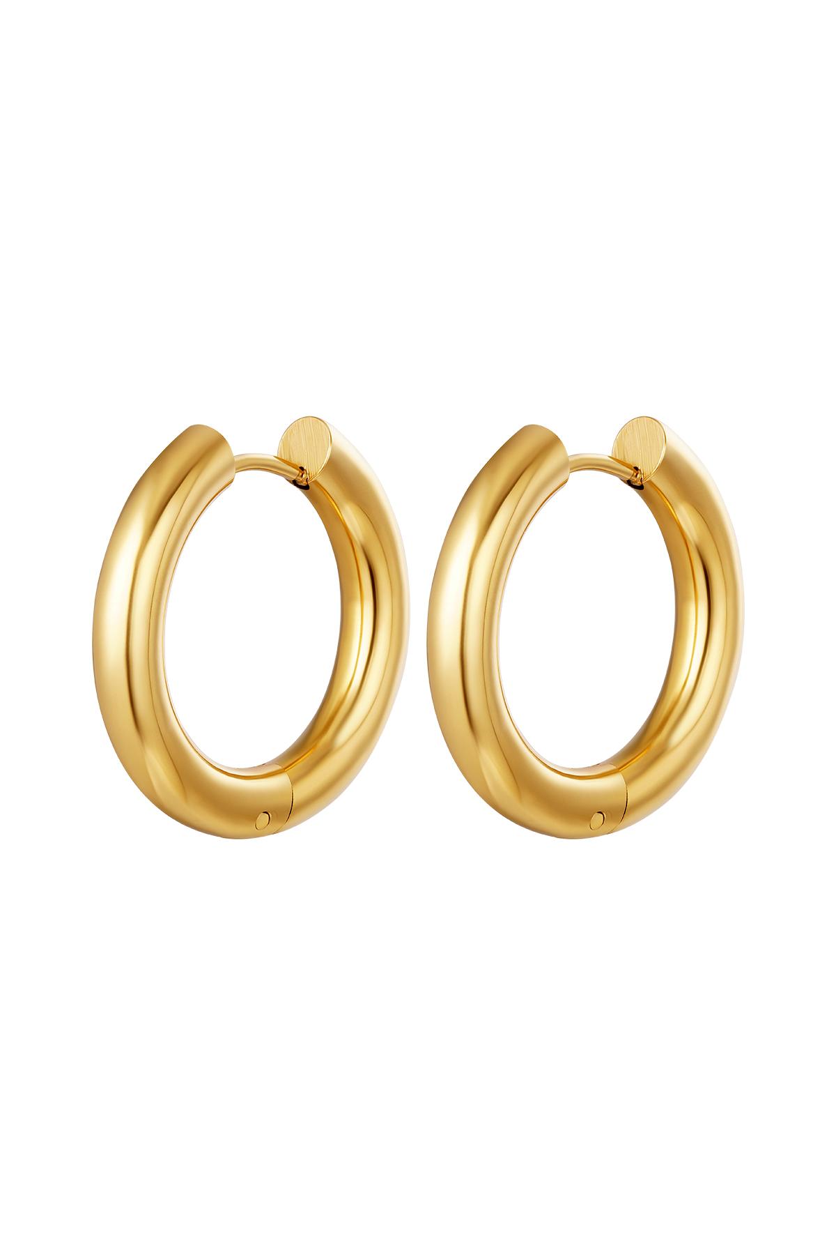 Basic creoles earrings - large Gold Stainless Steel h5 