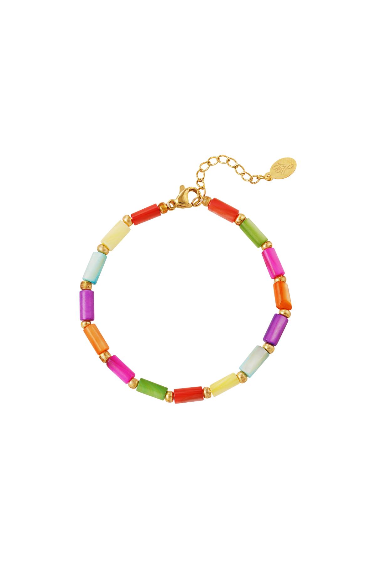 Colourful bracelet - Rainbow collection Multi Stainless Steel h5 