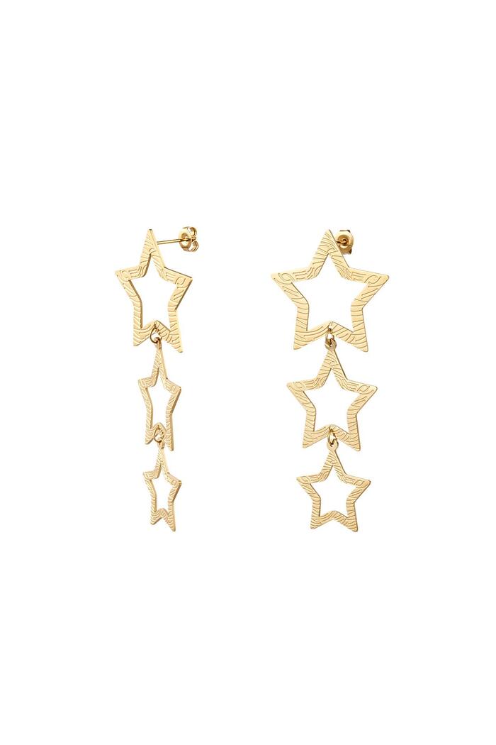 Star earrings with pattern Gold Stainless Steel 