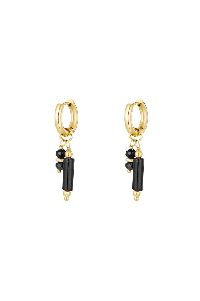 Earrings with stone charms Black Stainless Steel 