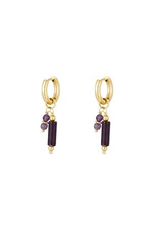 Earrings with stone charms Purple Stainless Steel h5 