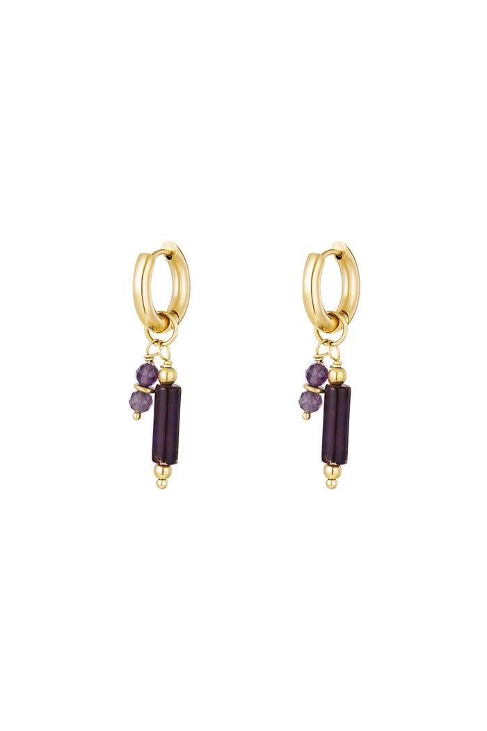 Earrings with stone charms Purple Stainless Steel 