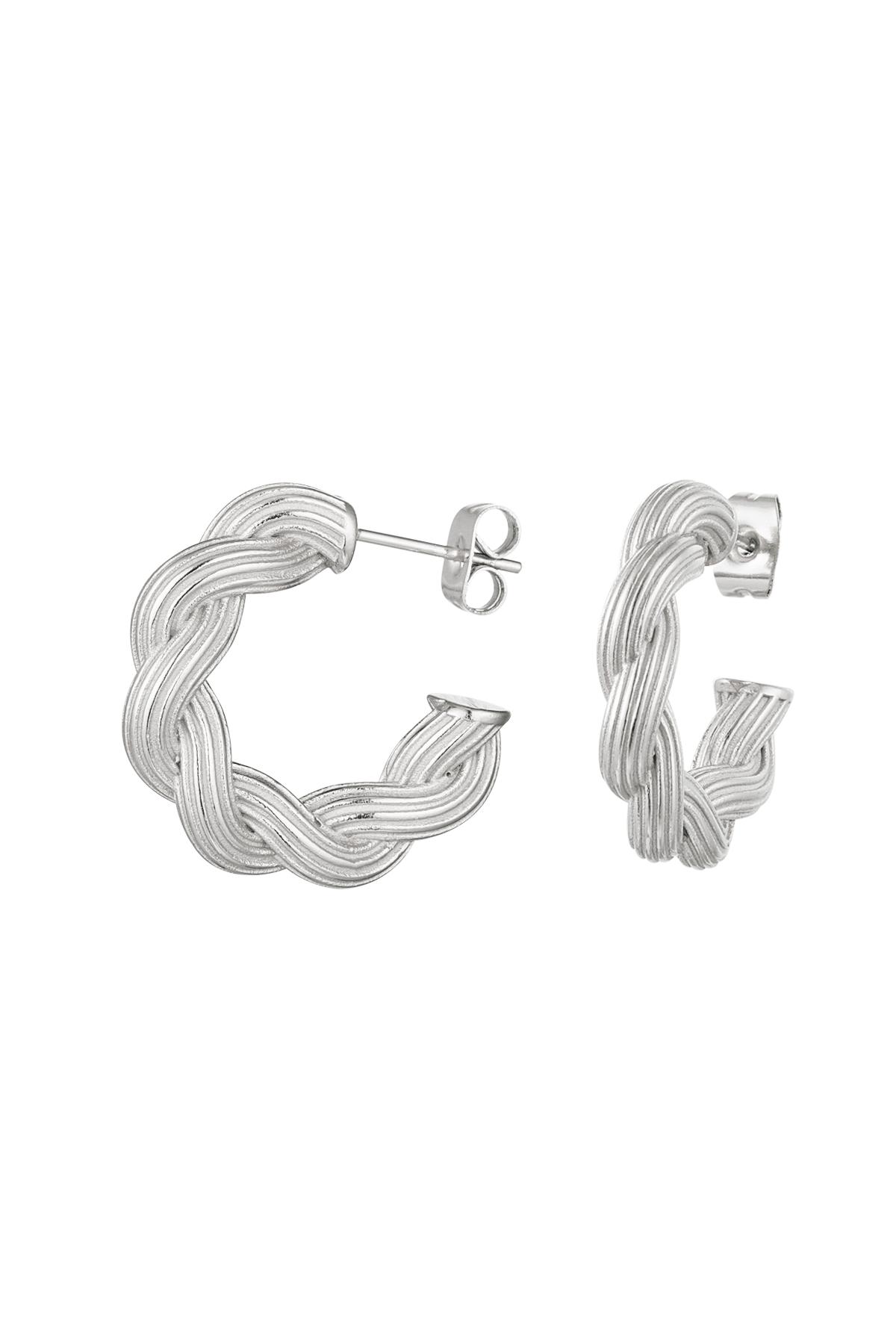 Earrings twisted Silver Stainless Steel h5 