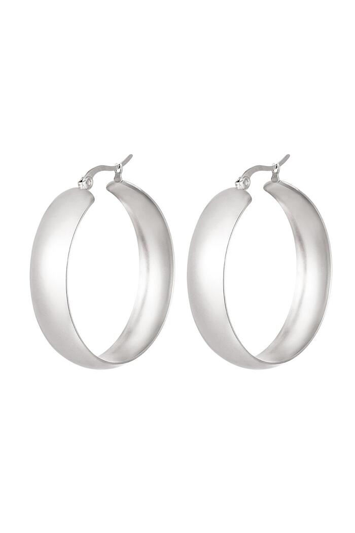 Earrings stainless steel chic Silver 