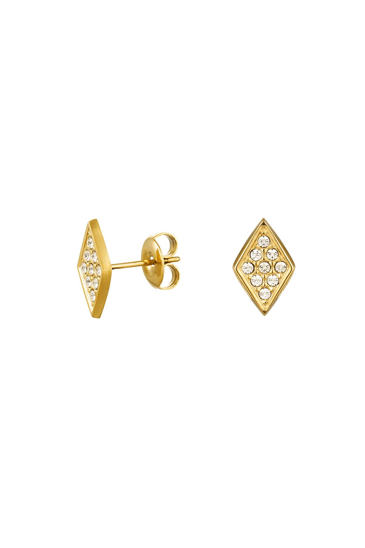 Ear studs diamond with stones Gold Stainless Steel h5 
