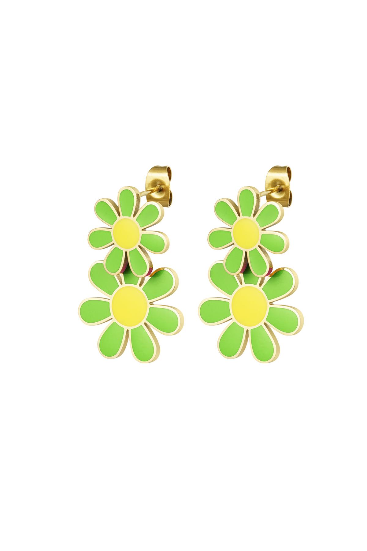 Verde & Oro 