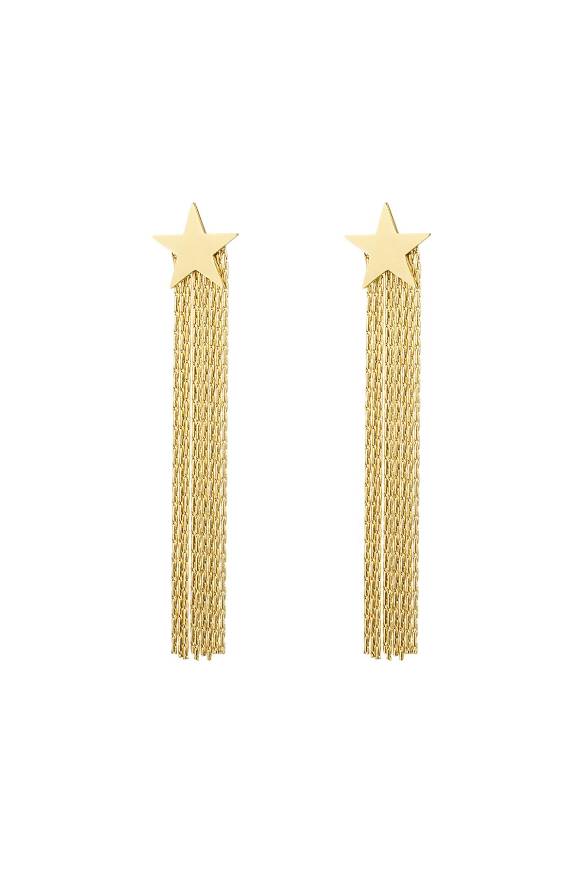 Statement earrings star Gold Stainless Steel h5 