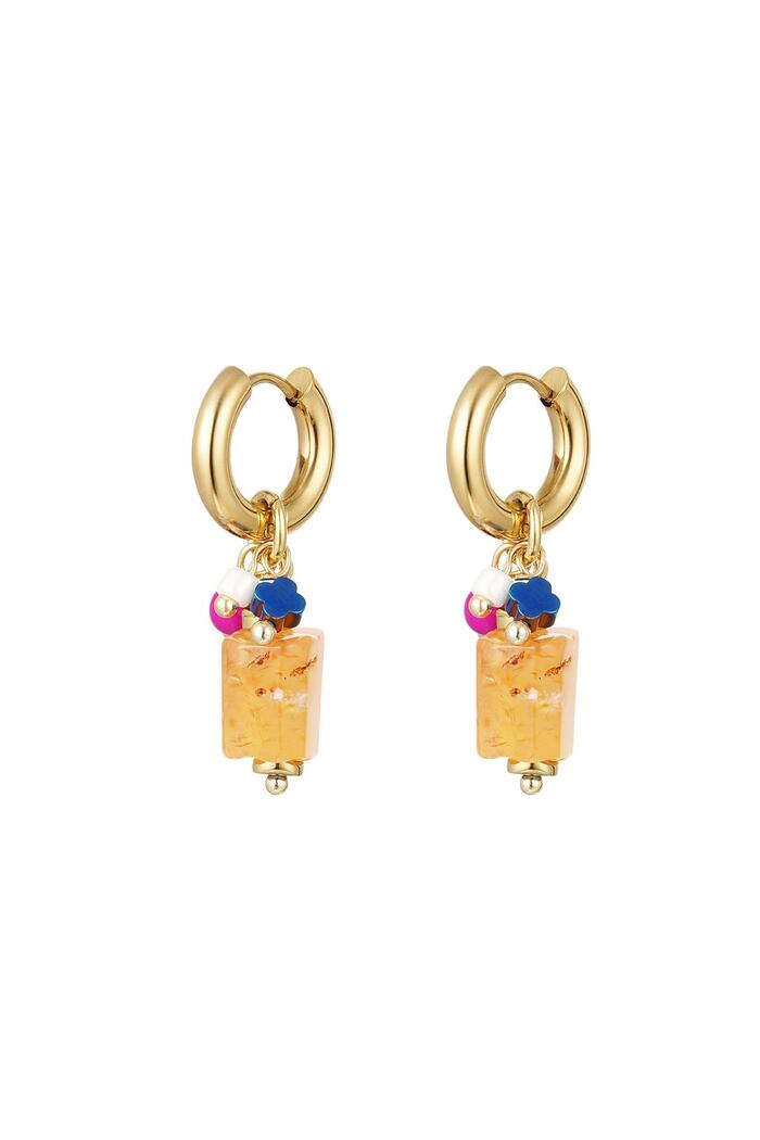 Earrings with colorful stones Gold Stainless Steel 