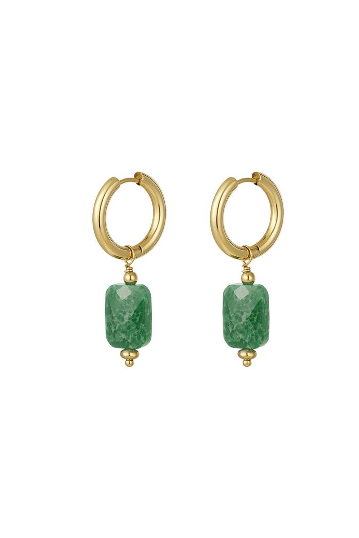 Earrings with rectangular pendant Green & Gold Stainless Steel 