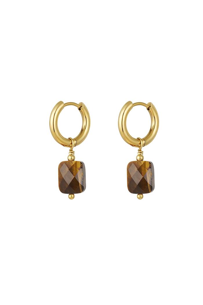 Earrings basic with stone Gold Stainless Steel 