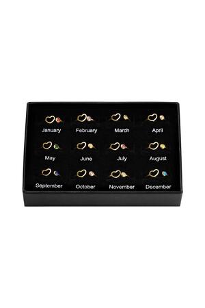 Birthstone Ring Set of 12 Gold Stainless Steel One size h5 