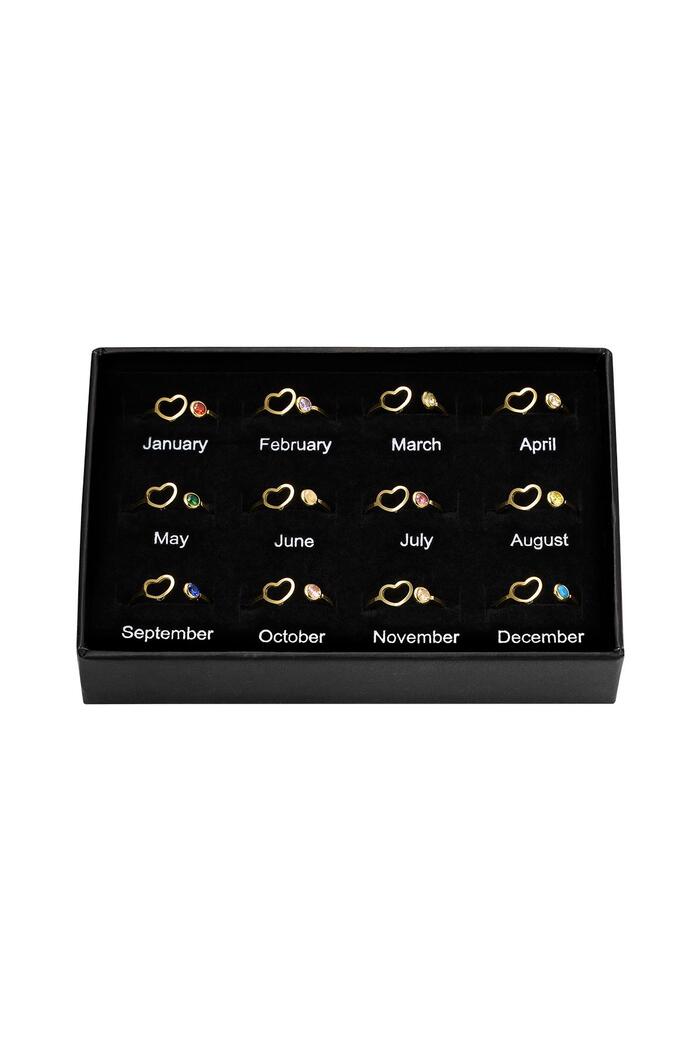 Birthstone Ring Set of 12 Gold Stainless Steel One size 