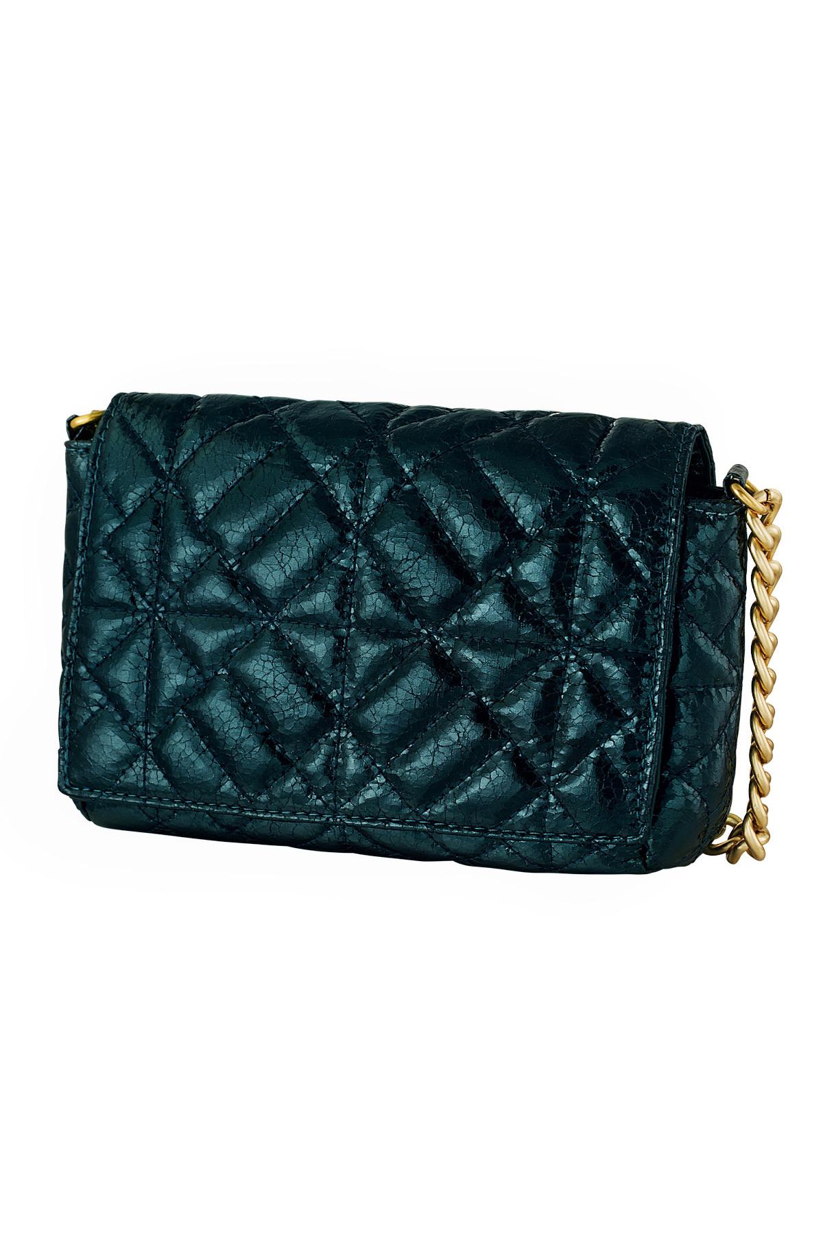 Metallic handbag with large gold chain Green PU