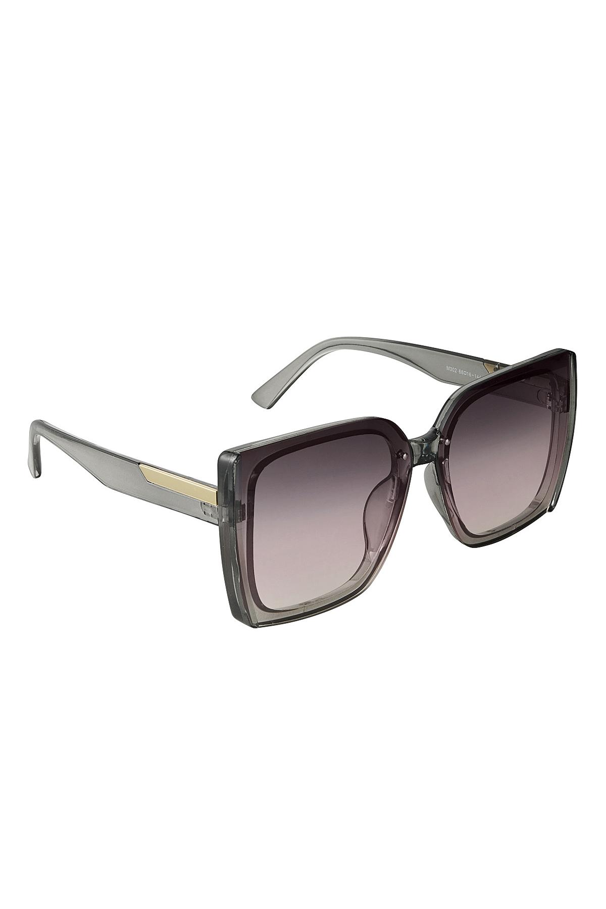 Sunglasses stylish Grey PC One size