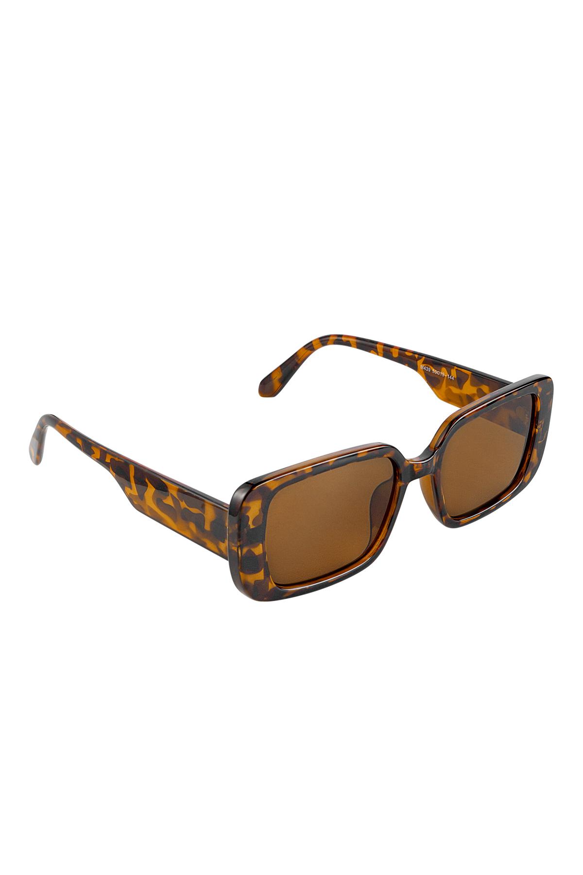 Small frame sunglasses Brown PC One size 