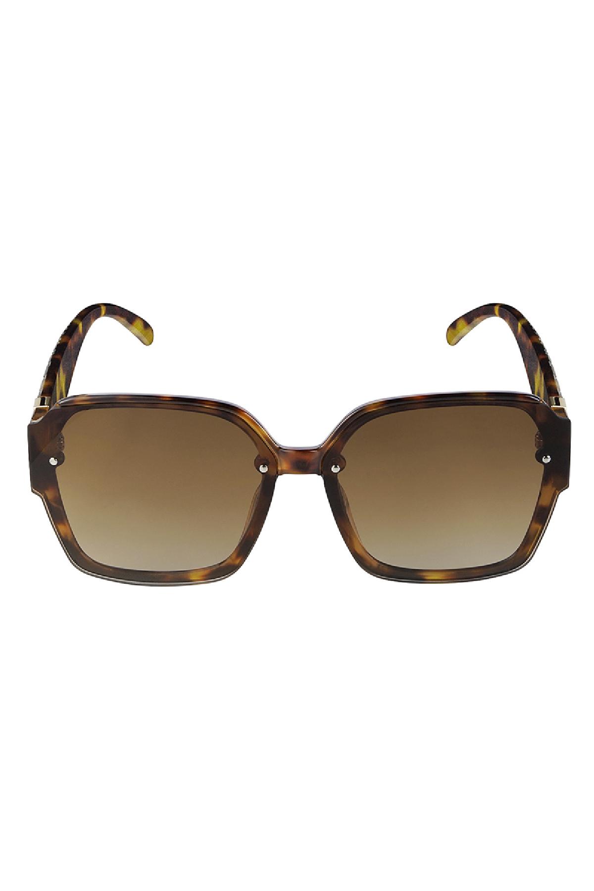 Structured sunglasses Brown PC One size Picture3