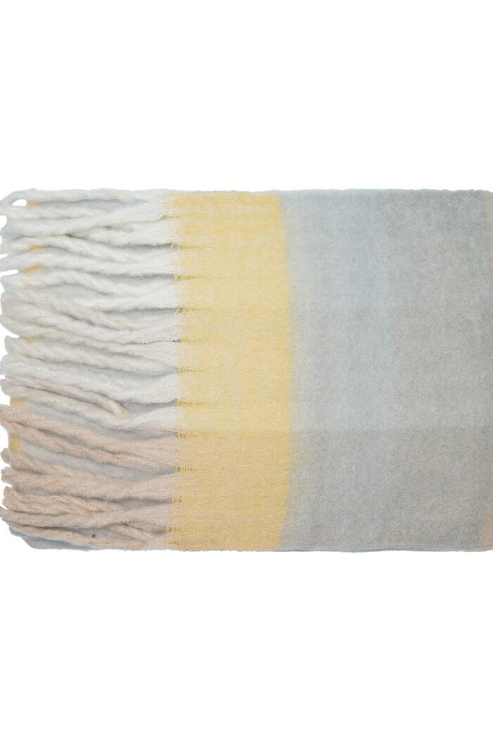 Sciarpa invernale colori a quadri Grey Polyester Immagine2