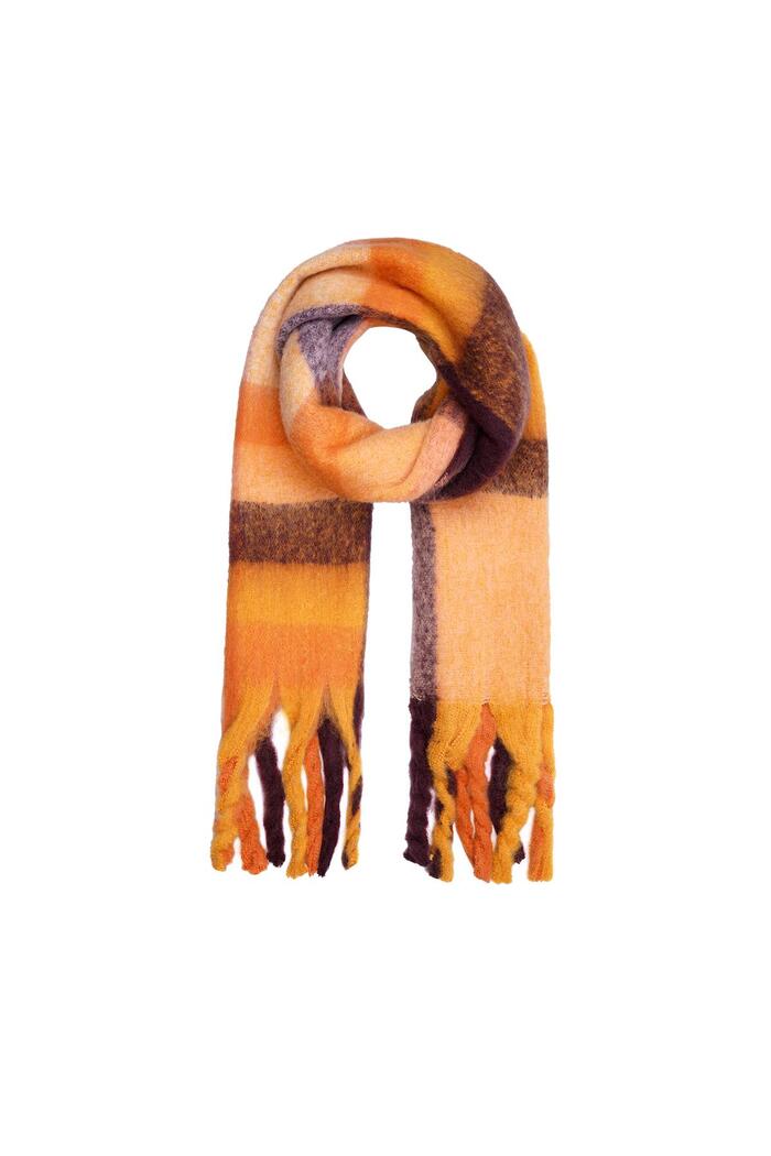 Fringe scarf Orange Polyester 