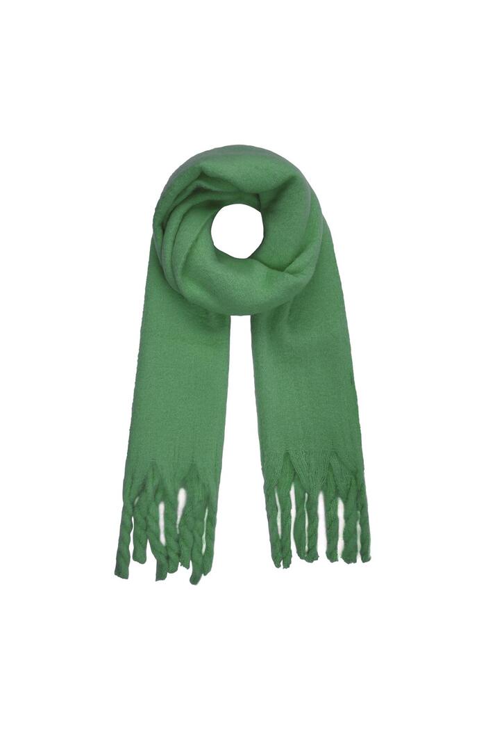 Winter scarf solid color Green Polyester 
