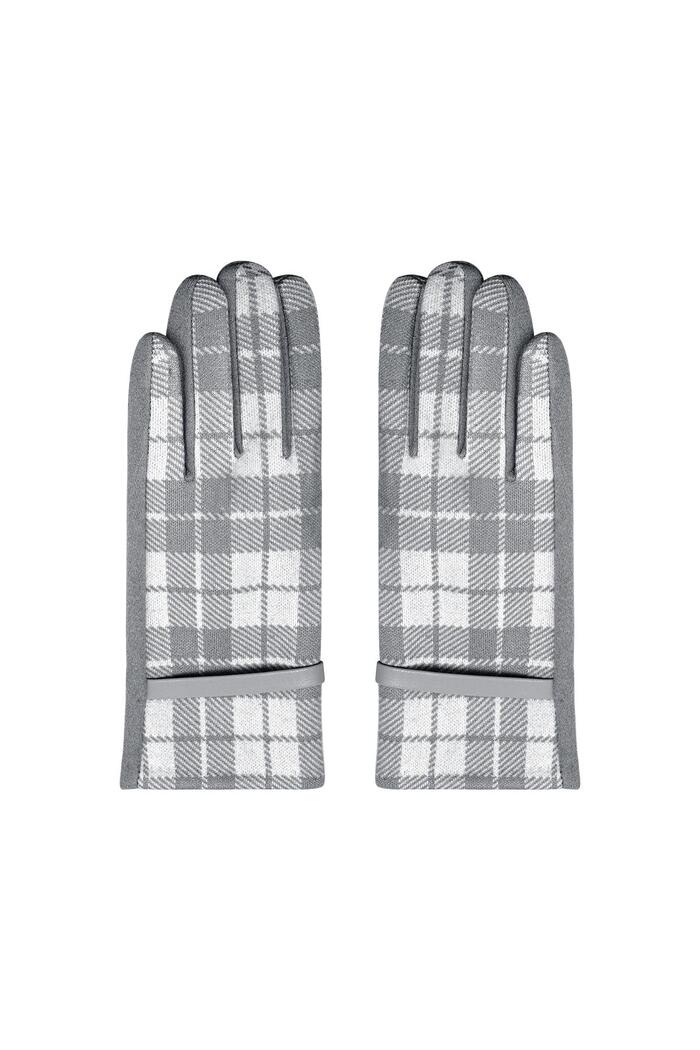 Geblokte handschoenen Grijs Polyester One size 