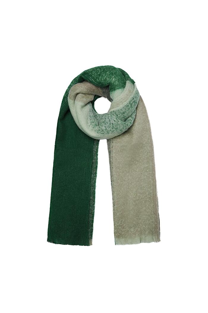 Sjaal kleurovergang groen Polyester 