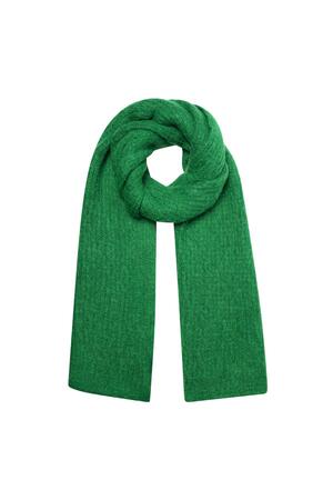 Sjaal gebreid effen - groen h5 