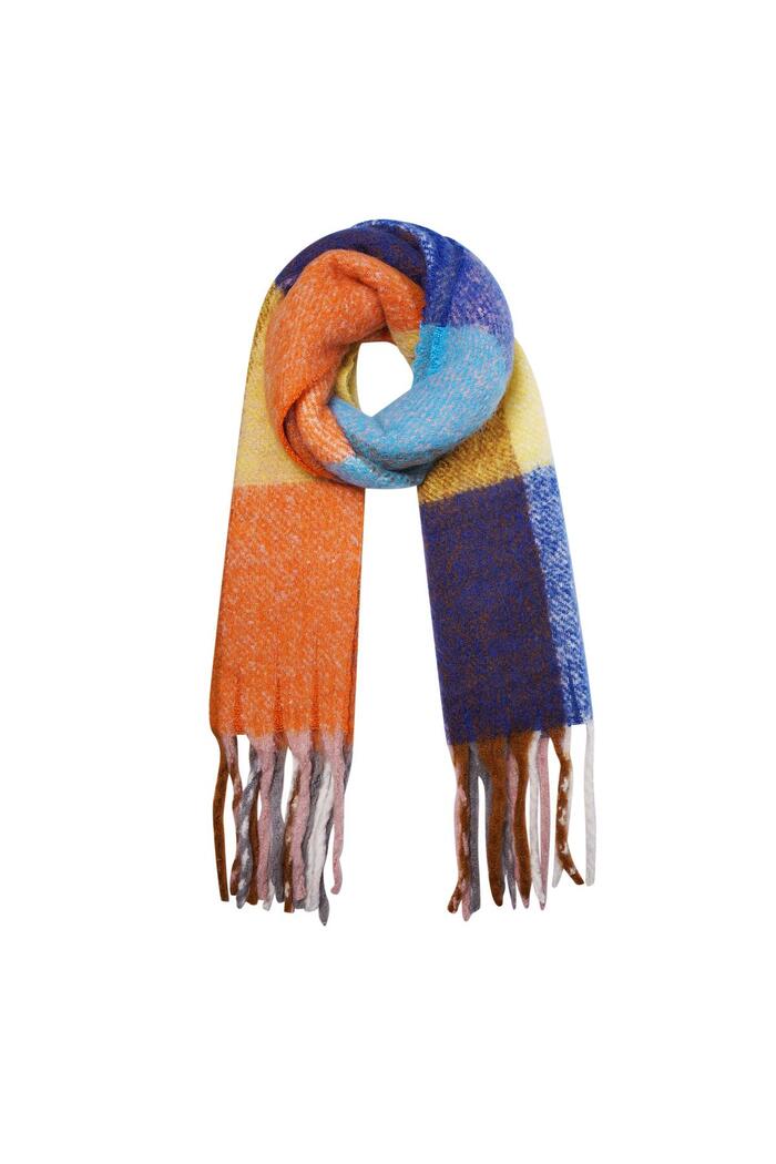 Multicolor winter scarf with fringes Acrylic 