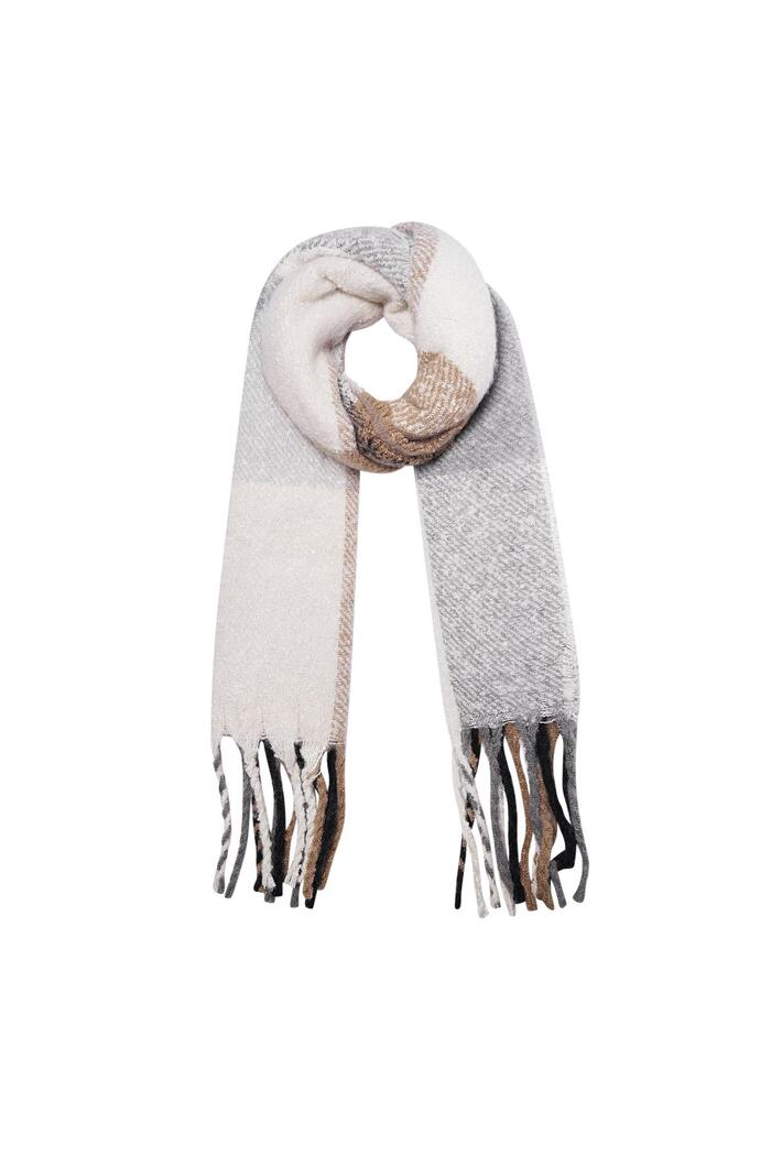 Multicolor winter scarf with fringes Grey Acrylic 