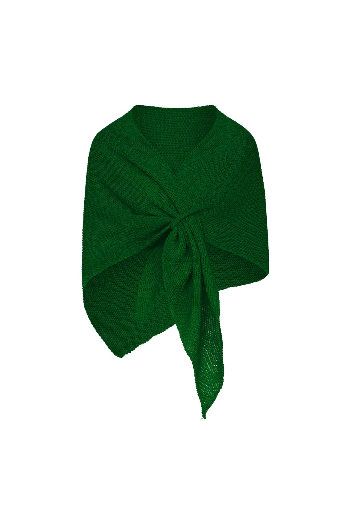 Shawl plain print Green Acrylic