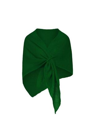 Schal mit einfarbigem Druck Grün Acryl h5 