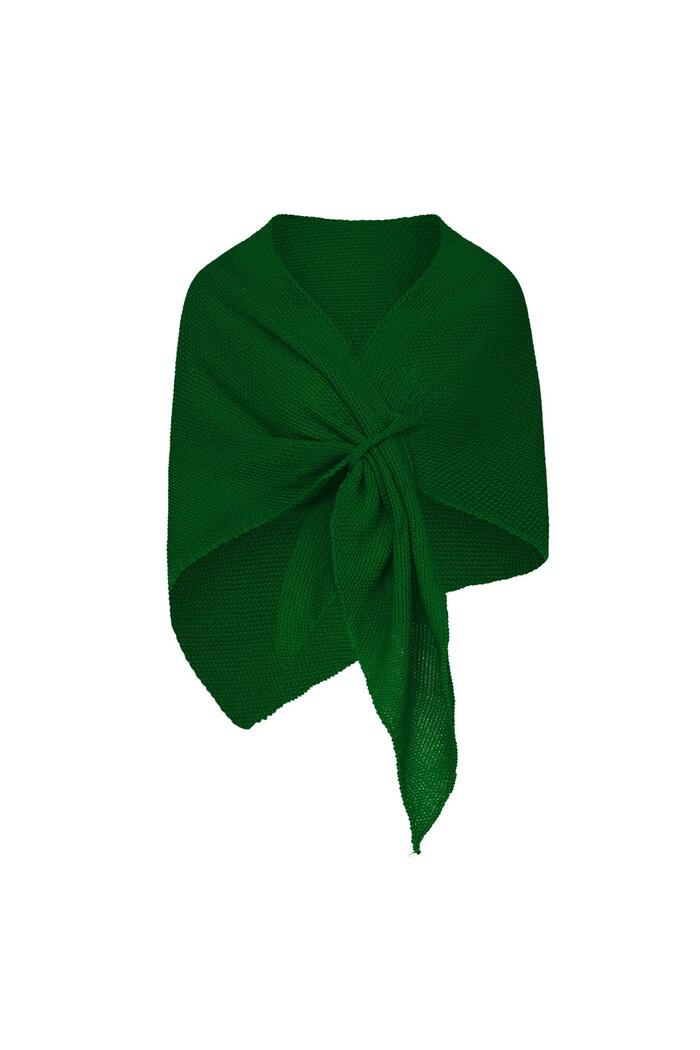 Schal mit einfarbigem Druck Grün Acryl 