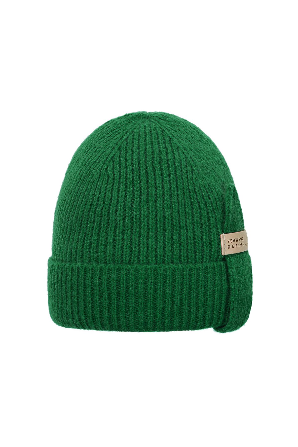 Mütze Yehwang Grün Polyester h5 