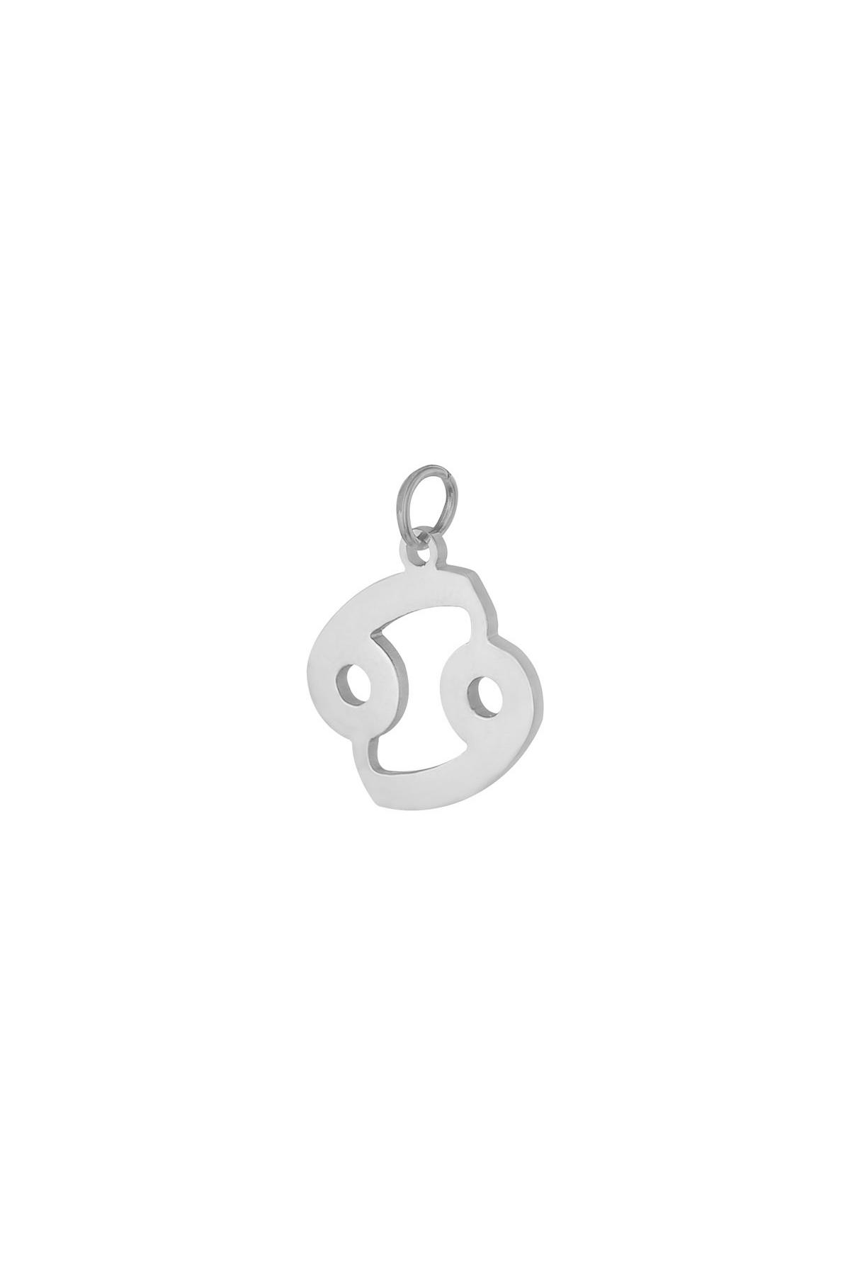 Silver / Charm Zodiac Cancer Silver Stainless Steel Picture7