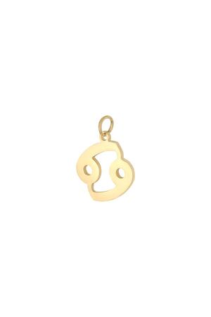 Charm Zodiac Cancer Goud Stainless Steel h5 