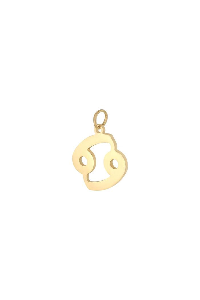 Charm Zodiac Cancer Gold Stainless Steel 