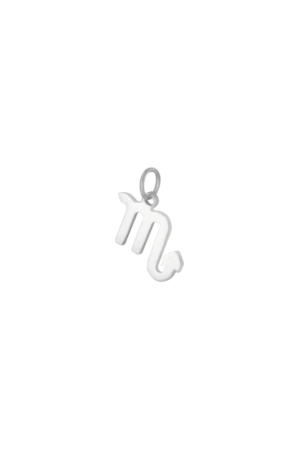 Silver / Charm Zodiac Scorpio Silver Stainless Steel Picture16