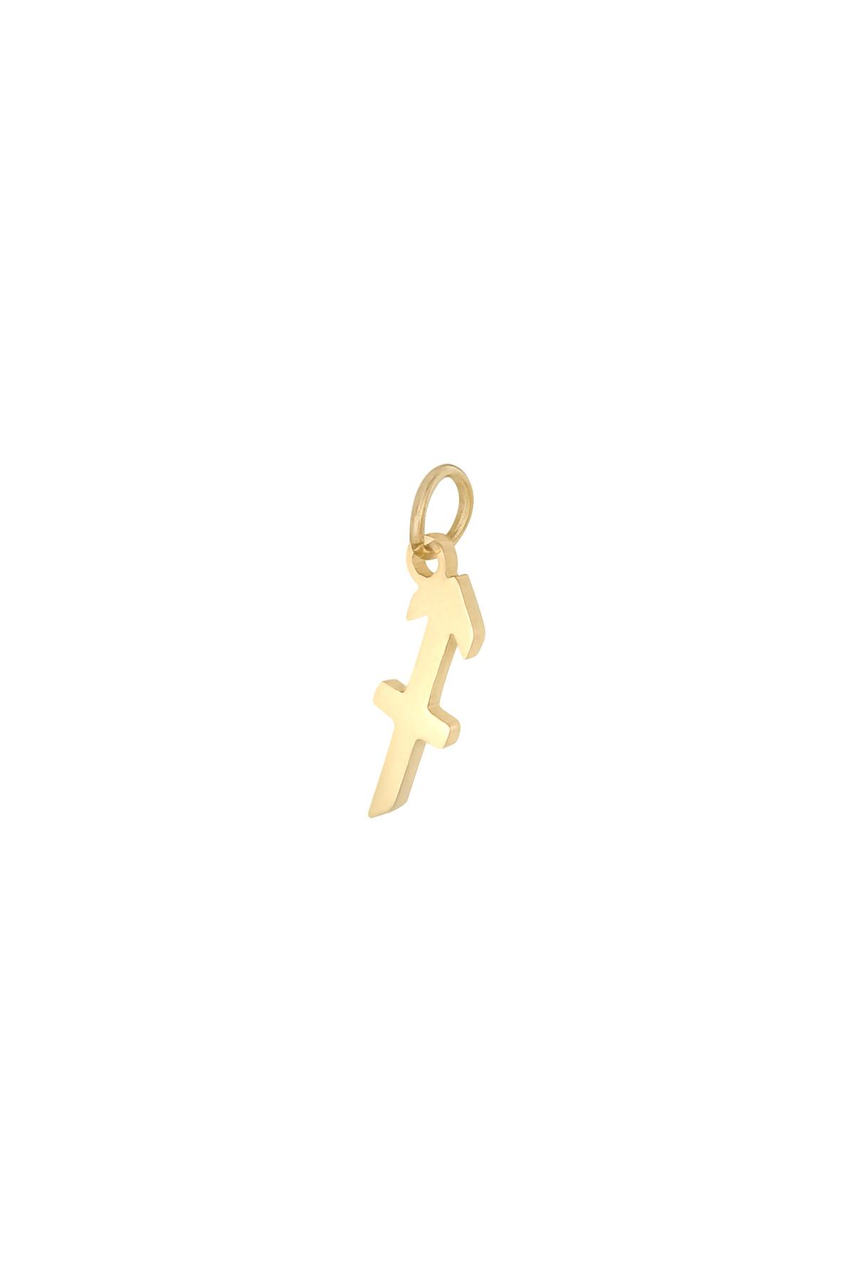 Gold / Charm Zodiac Sagittarius Gold Stainless Steel Picture16