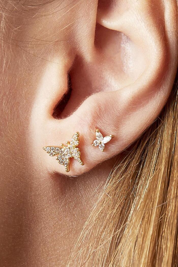 Earrings Diamond Butterfly Gold Copper Picture2