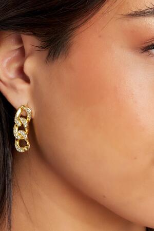 Ear studs links zircon Gold Stainless Steel h5 Picture3